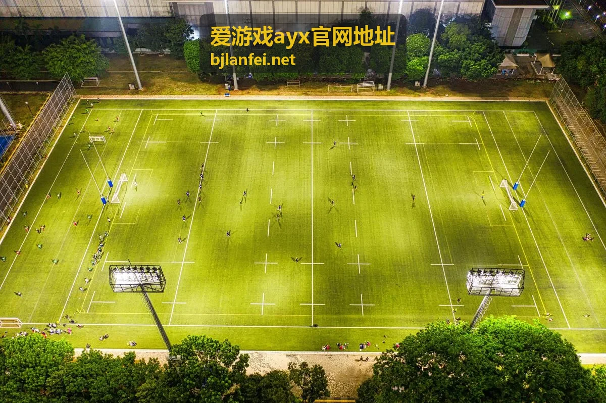 爱游戏ayx官网地址日常使用与回访场景配图